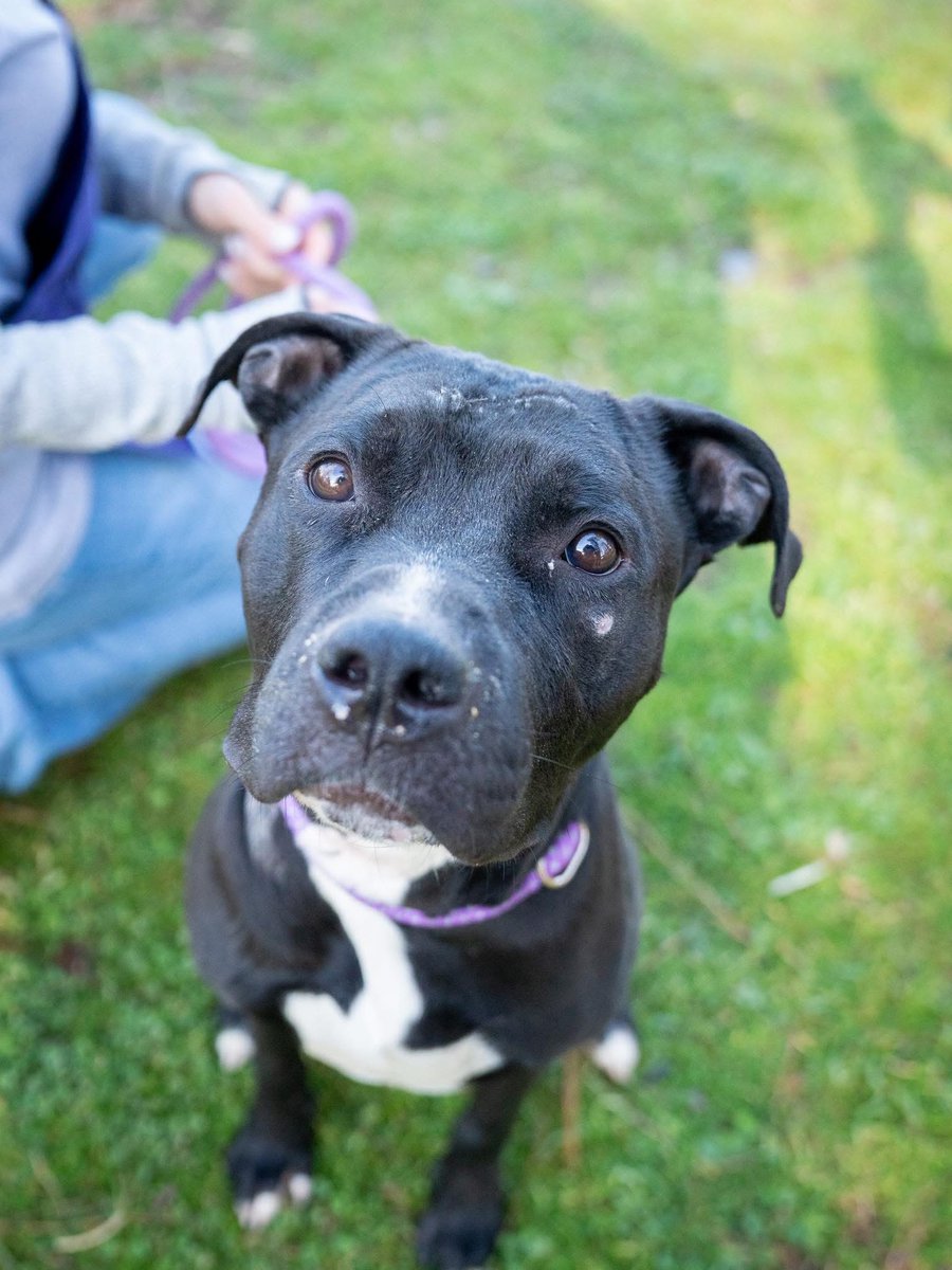 Fionaismybitch tweet media