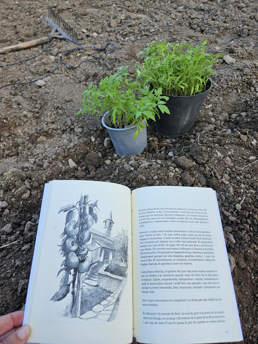 Marta Lluvich tweet media