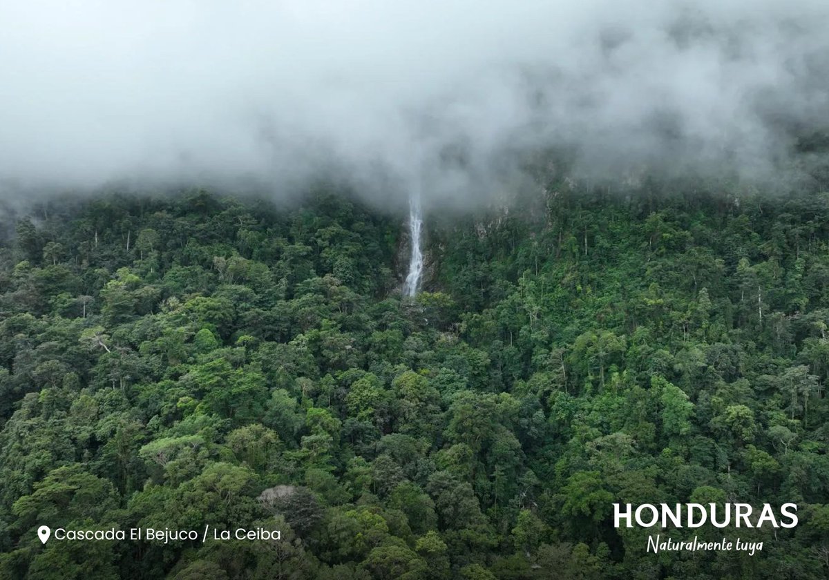 Visit Honduras tweet media