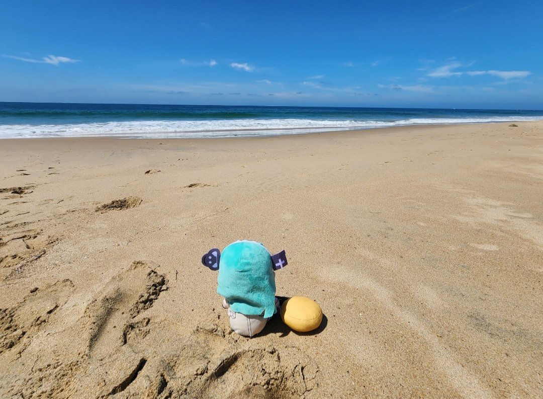 Dawn Catte tweet media