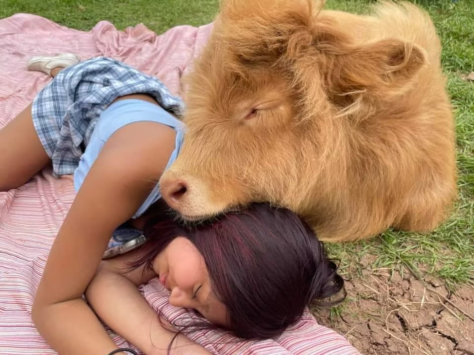 Mental Hopscotch tweet media