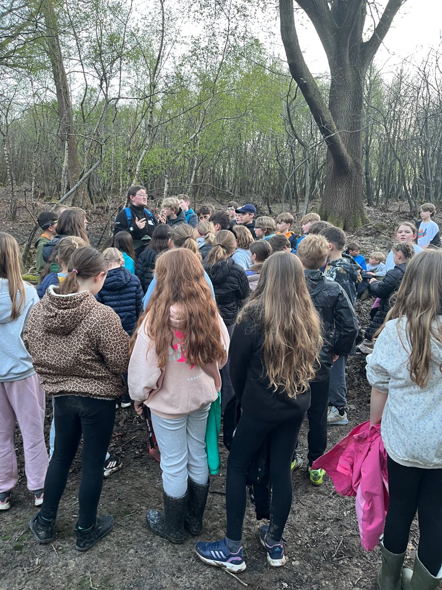 ClaygatePrimary's tweet image. Forest walk!