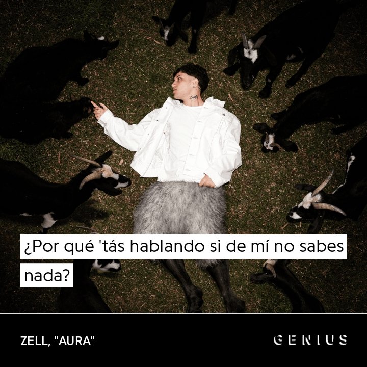 frann | ludio tweet media