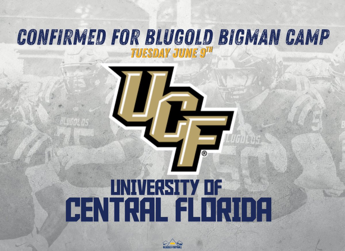 Blugold Football tweet media