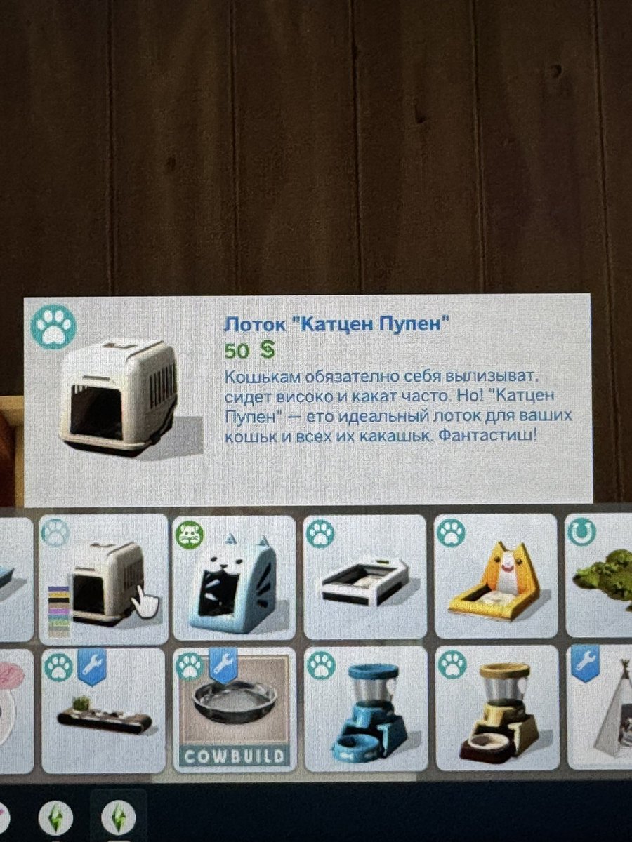 polina `big hug tweet media