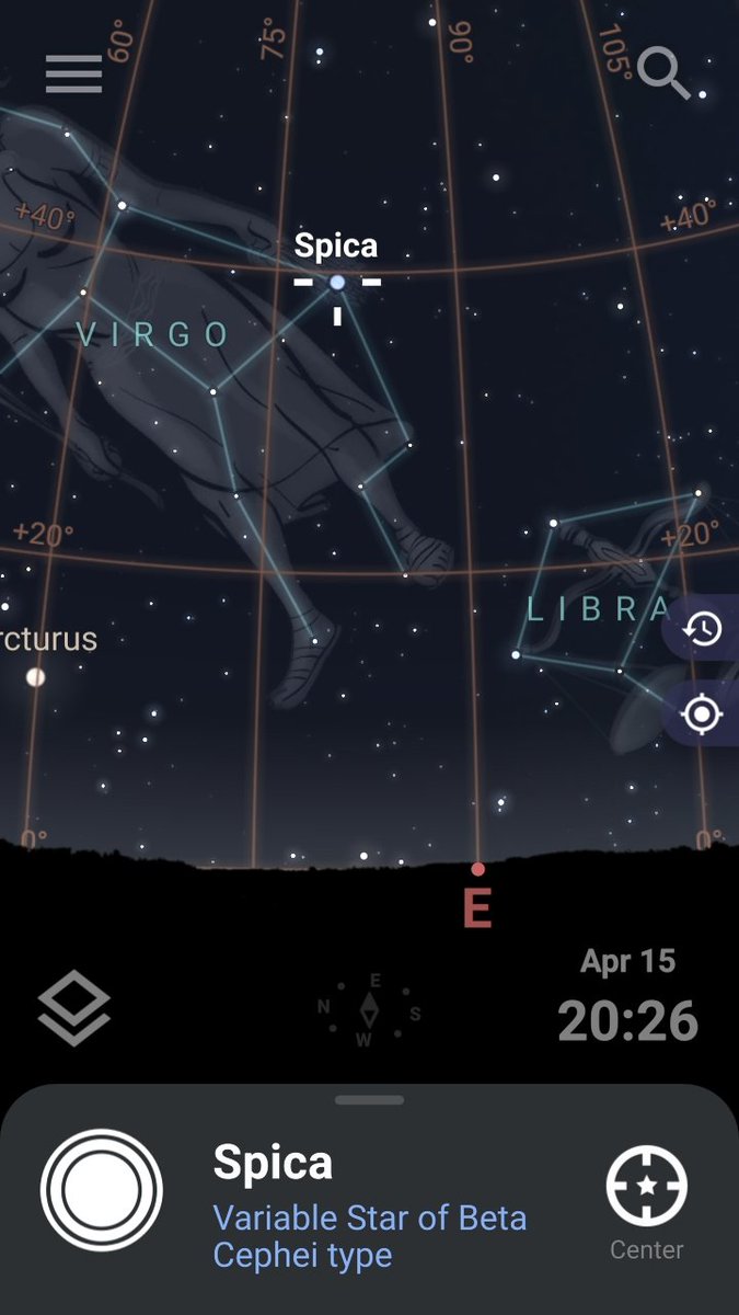 🐝 free to 🐝 free tweet media