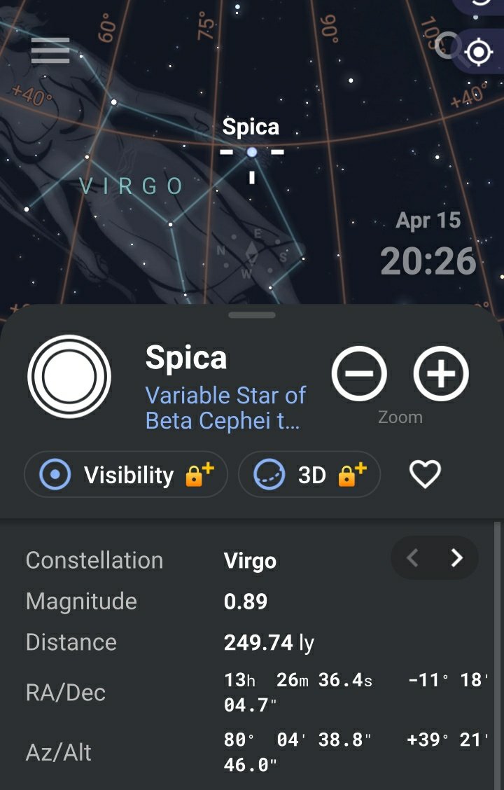 🐝 free to 🐝 free tweet media