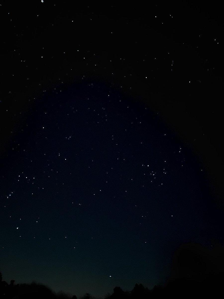 silver-tongued devil tweet media