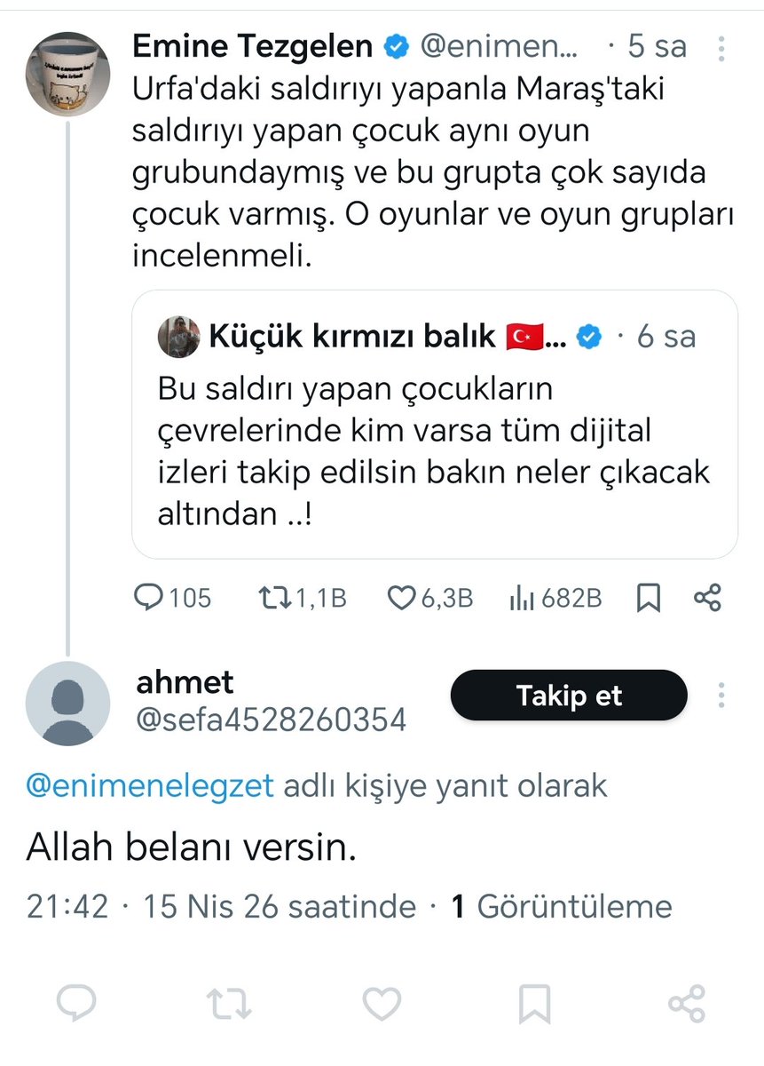 Emine Tezgelen tweet media