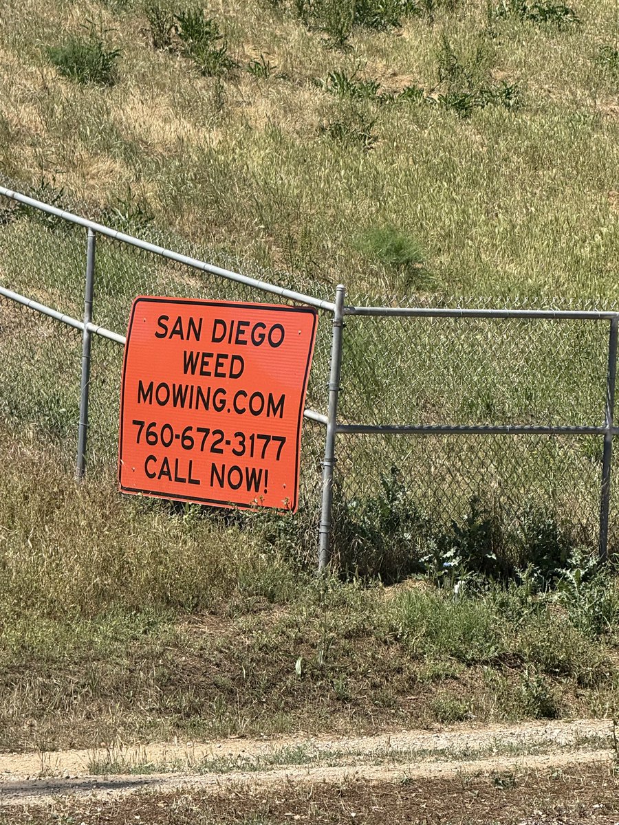 jameson (big deck energy) tweet media