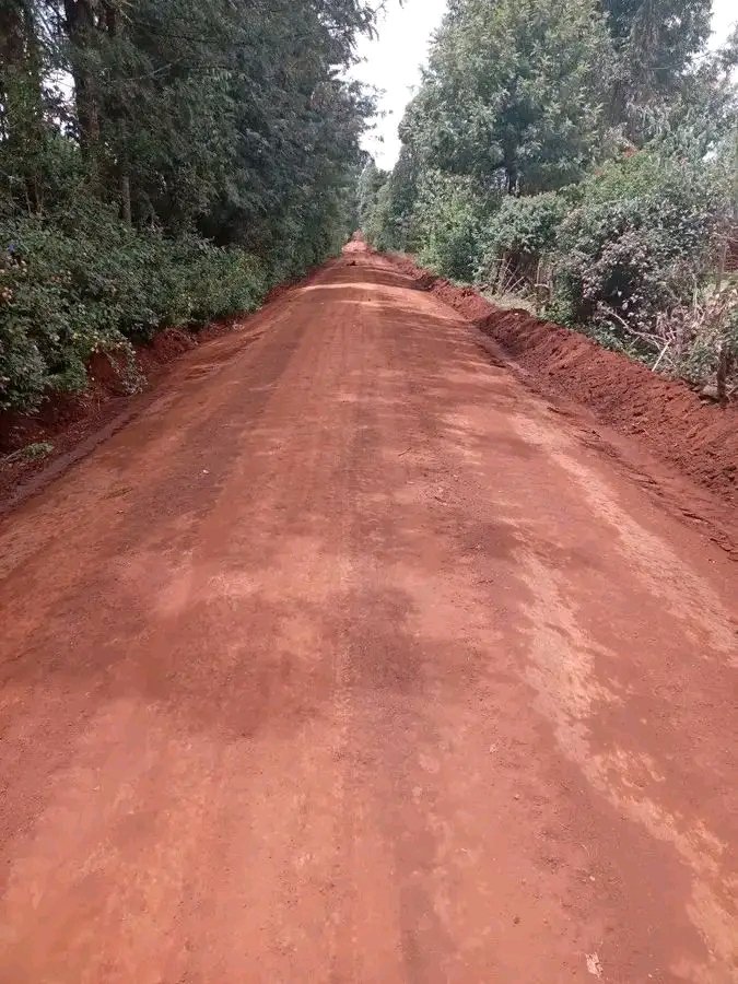 Ignatius tweet media