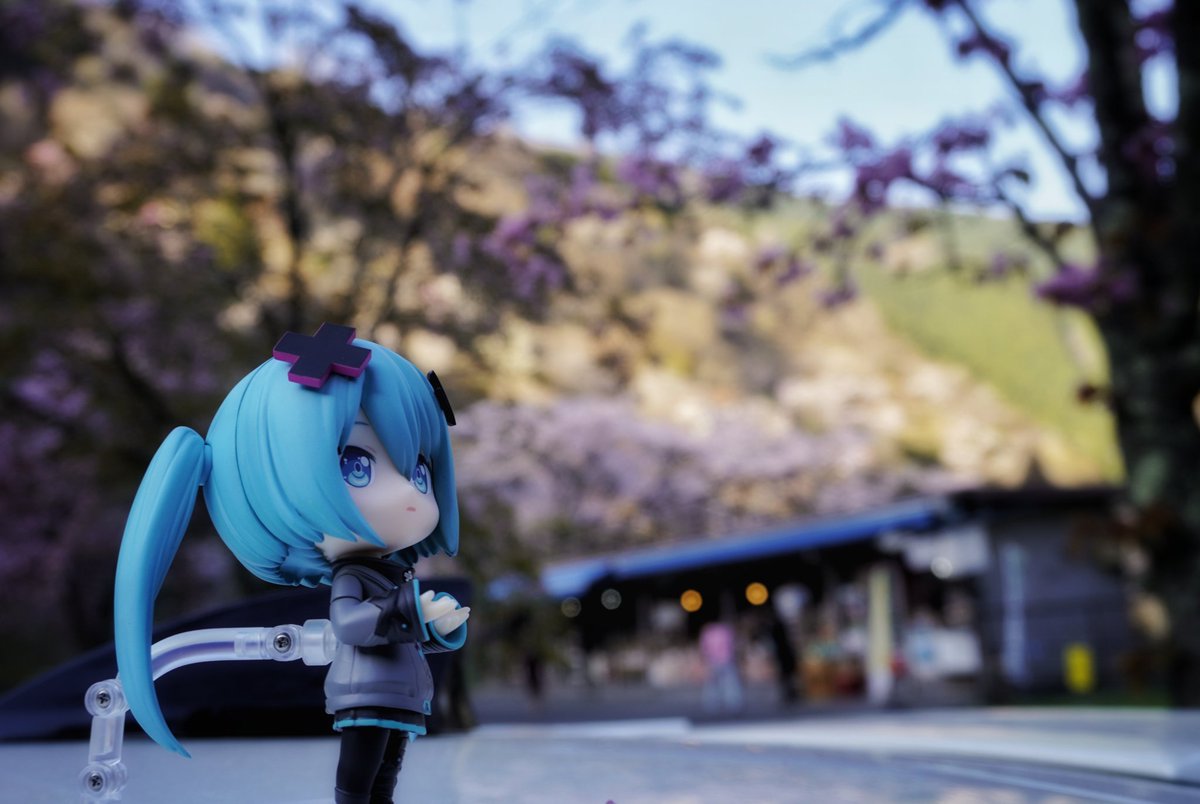 どっち？