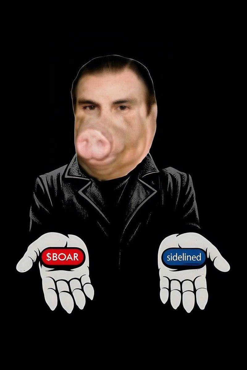 Boarcto tweet media