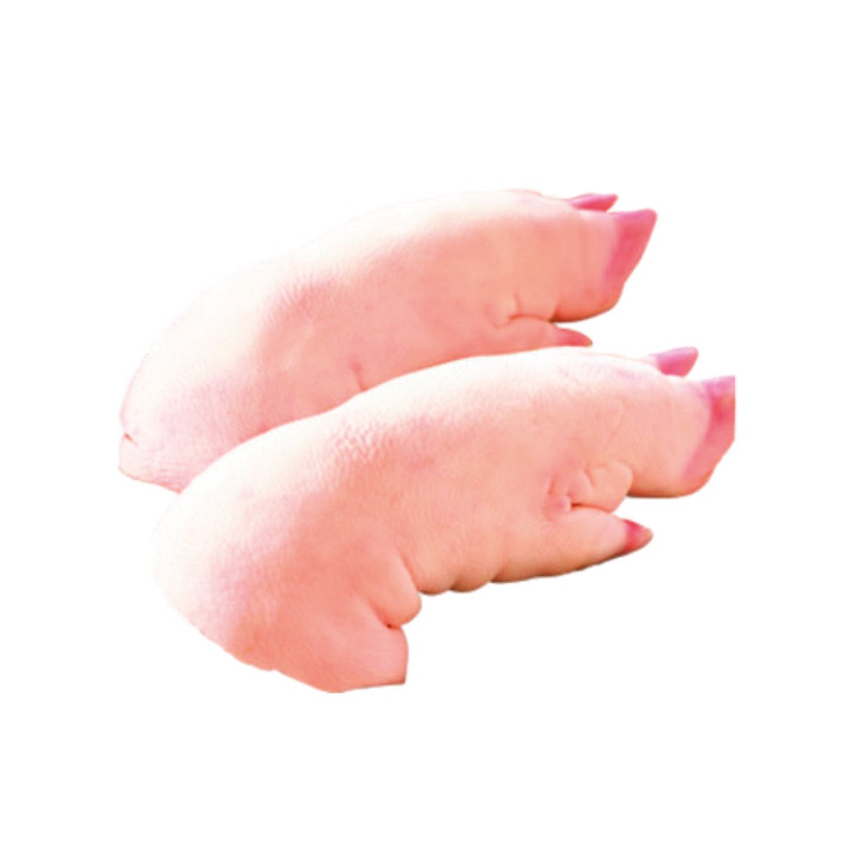 Frijolito 🇨🇱🇲🇽 tweet media