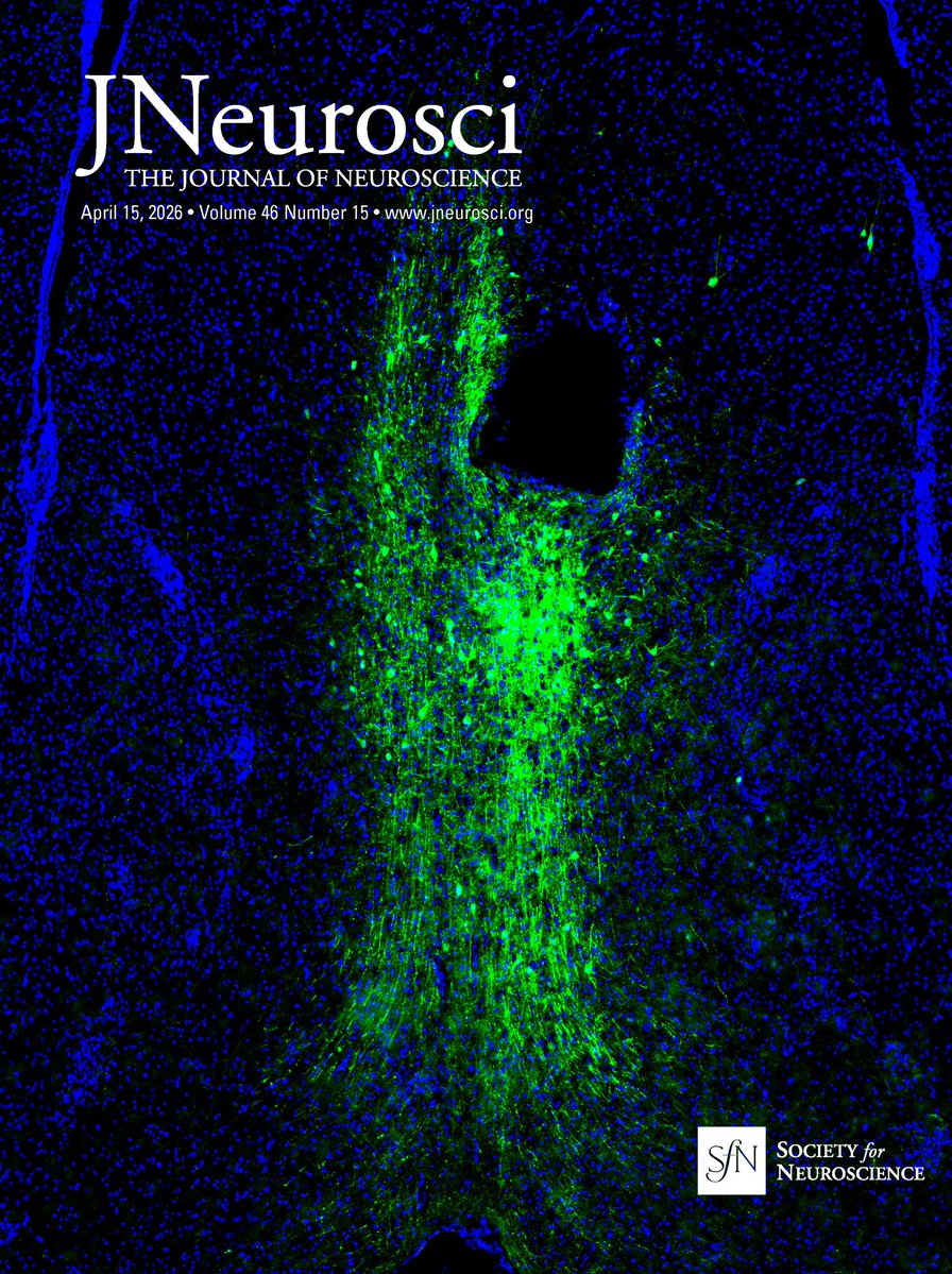SfN Journals tweet media