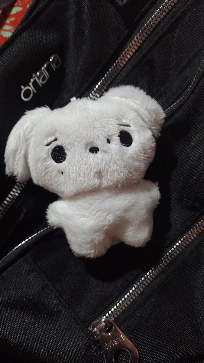 Luna⁷ ୨ৎ JAYPRIL! tweet media