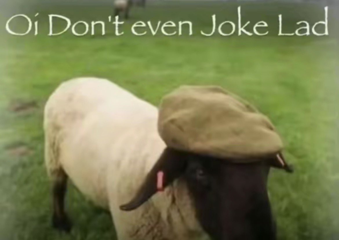 e - rocky tweet media