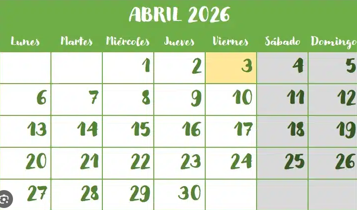 Stormy 🦊⚡ VTuber tweet media