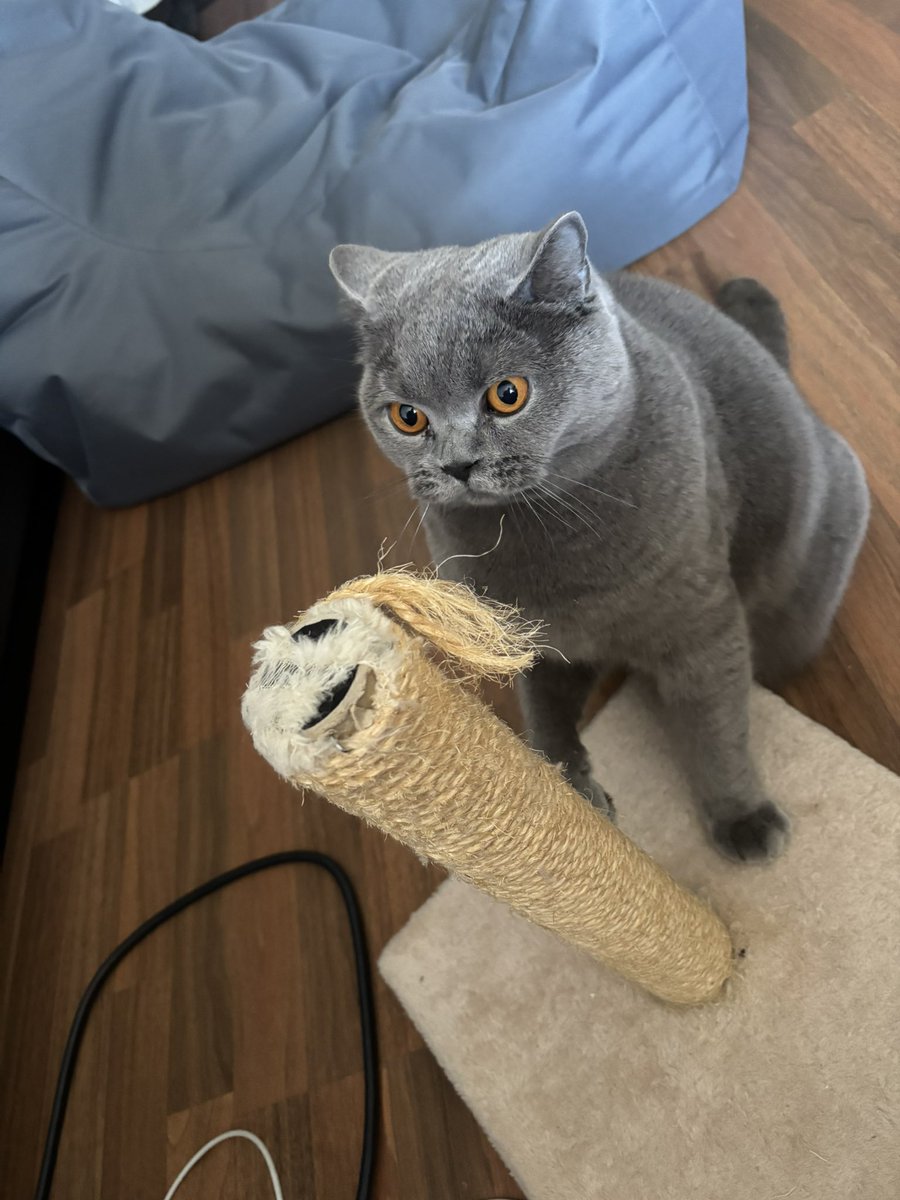 Roman of Spades ⚓️ tweet media