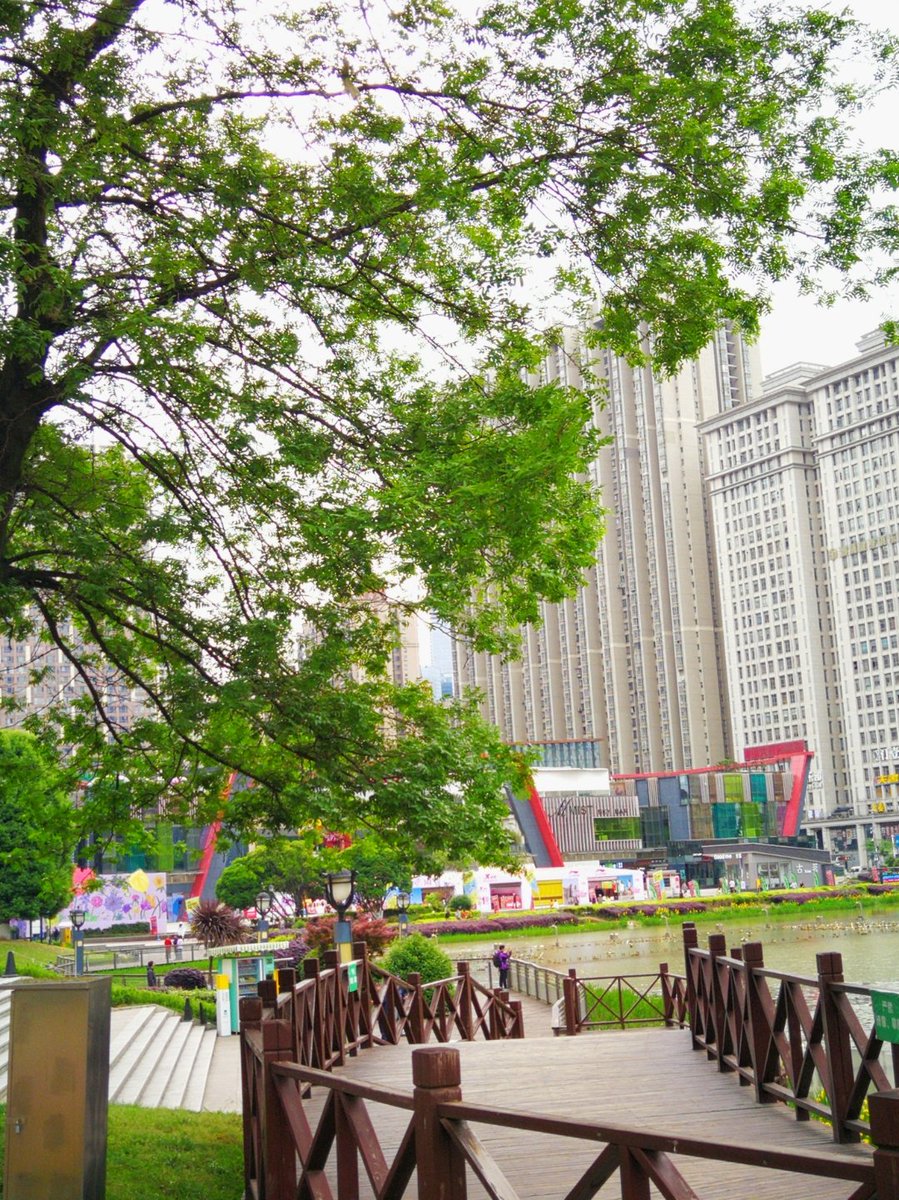 SteffieX's tweet photo. " Join our Eco Club Tree Planting Day!   When: Sat, 23rd Mar, 9AM-12PM  Where: Green Lake Park  Bring: Gloves + water bottle  Let’s grow our city’s green!   #EcoClub #Sustainability #CommunityAction" https://t.co/60fwnM59uE