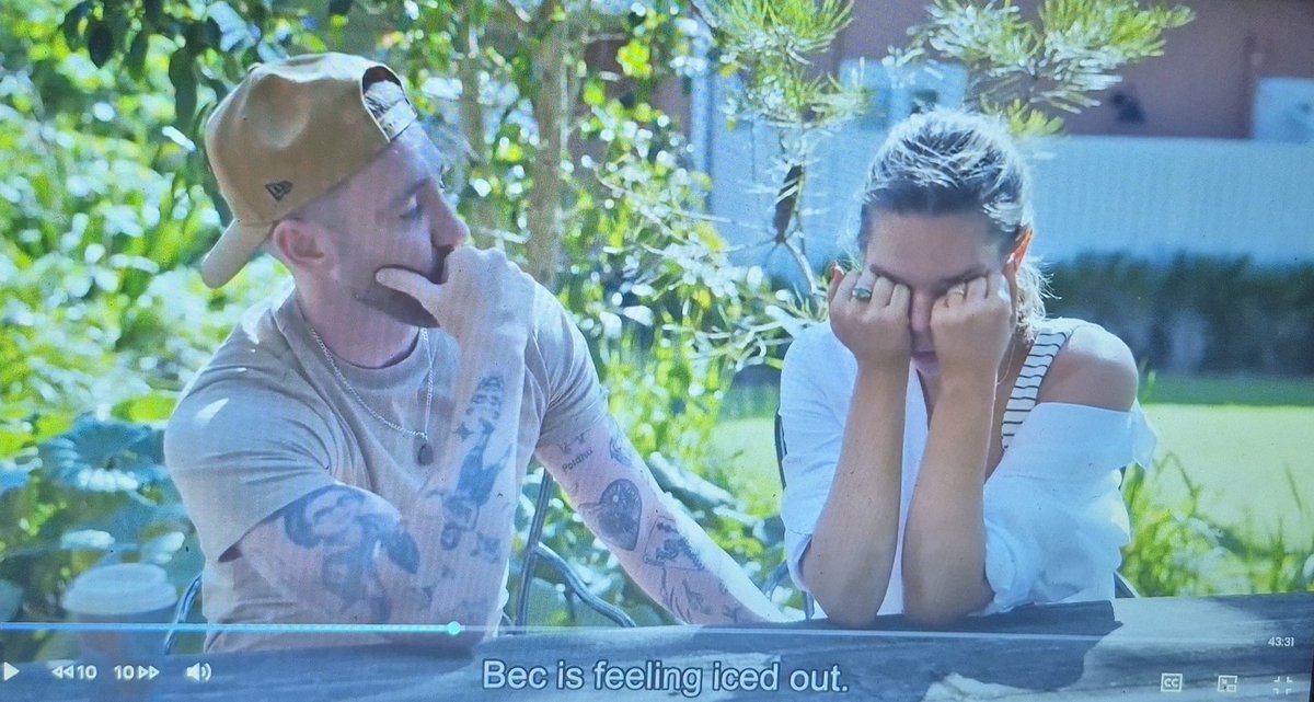 🦉🌳 tweet media