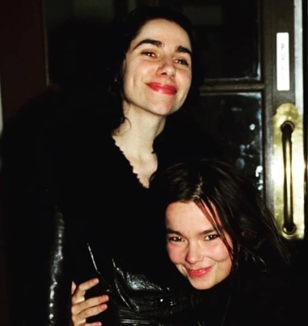 cybernojeira tweet media