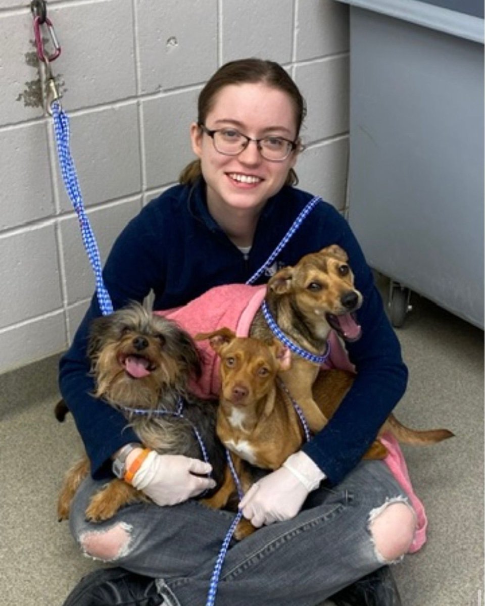 Nebraska Humane Society tweet media