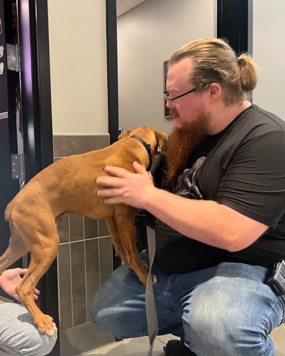 Nebraska Humane Society tweet media