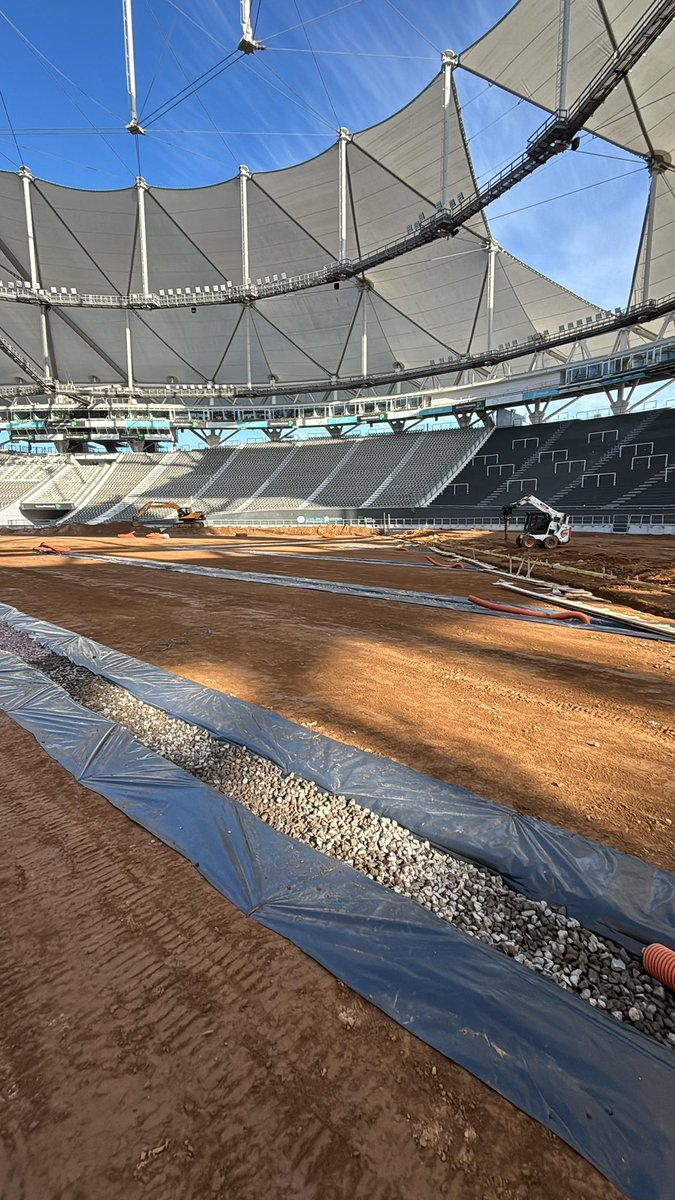 Alejandro Domínguez tweet media