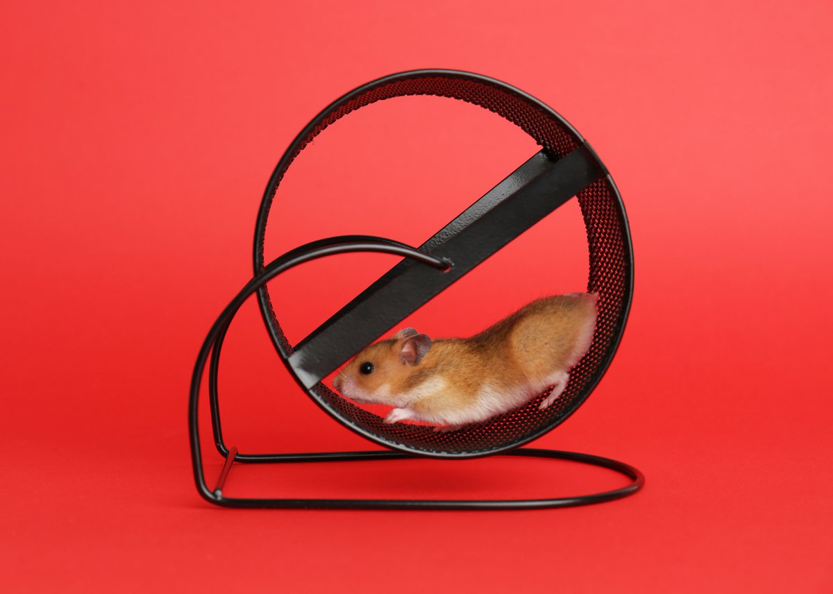 murrayvince's tweet photo. That’s not a growth plan. That’s a treadmill with a dashboard.

I just published: 

"Busy Marketing, Flat Pipeline: What’s Actually Broken (And It’s Not Effort)"

https://t.co/GPft9f8ExU https://t.co/Ws6UAzxvvM