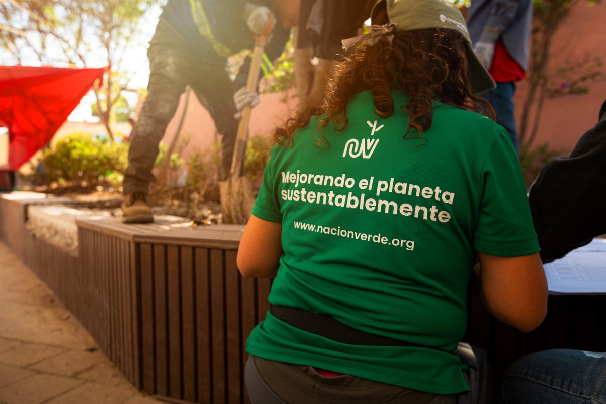 Microsoft Latinoamérica tweet media