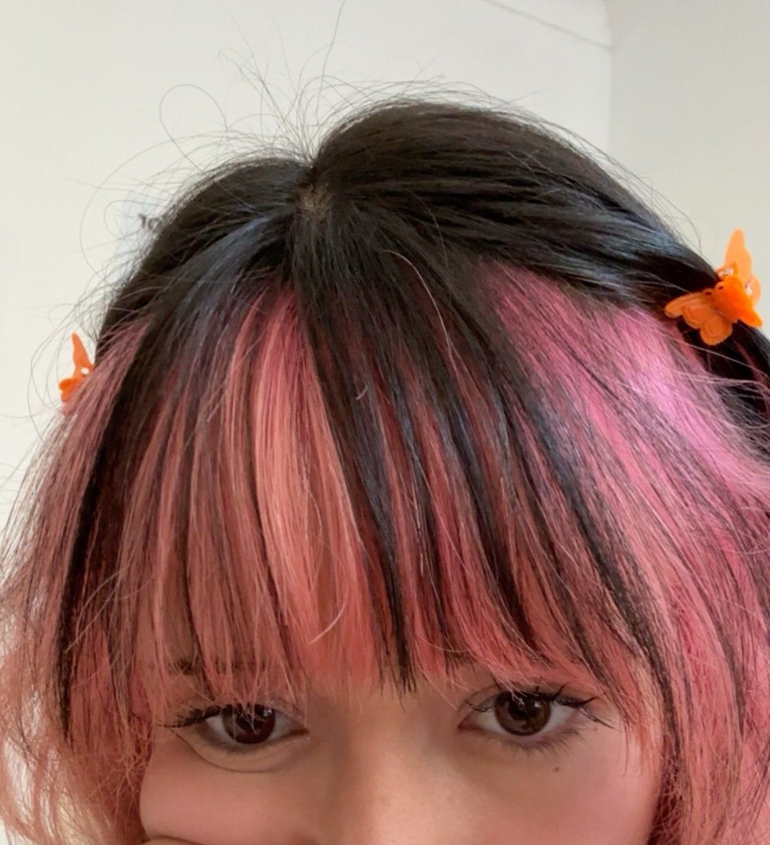 mona 🐒 tweet media