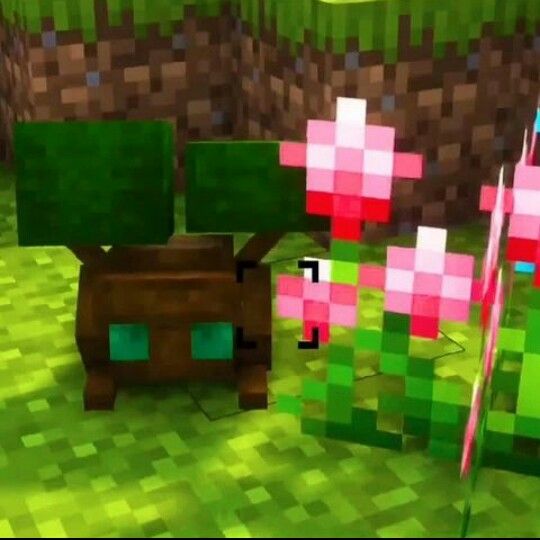 maro 🍂 tweet media