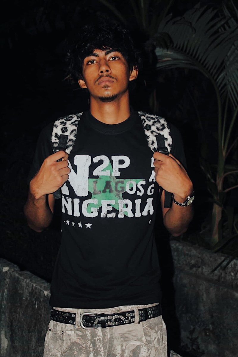 N2P tweet media