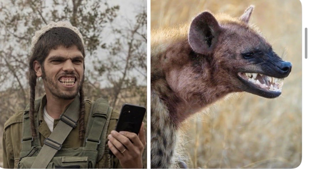 realking tweet media