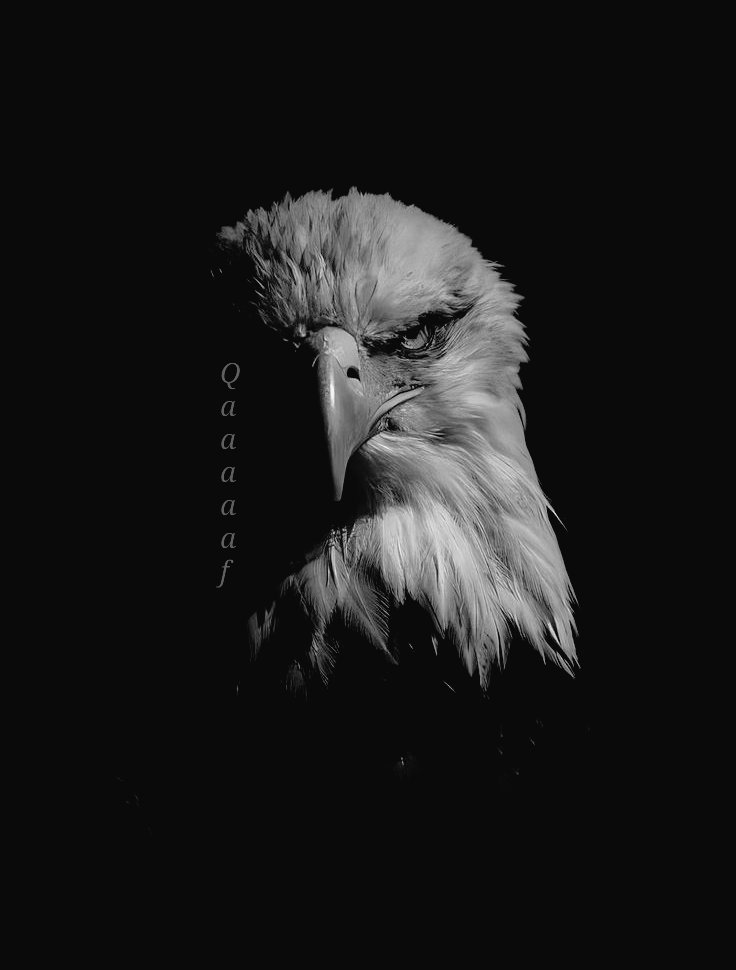 کس قدر طاقت ور ہوتا ہے وہ شخص۔۔۔!!
جس کے خلاف آپس میں نفرت کرنے والے اکٹھے ہو جائیں۔