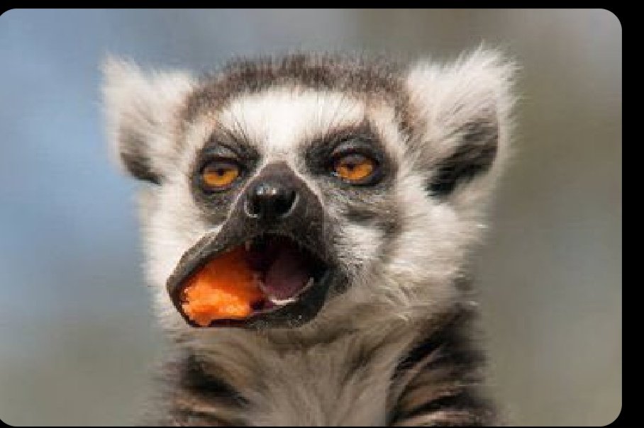 Akankunda Sarah tweet media