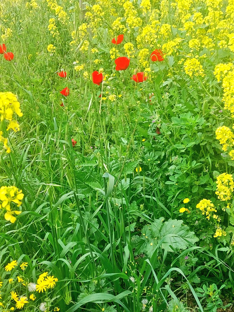 A̷l̷e̷x̷ tweet media