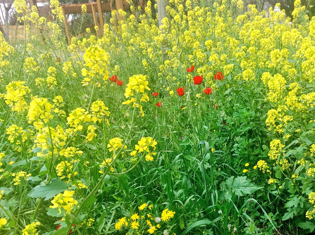 A̷l̷e̷x̷ tweet media