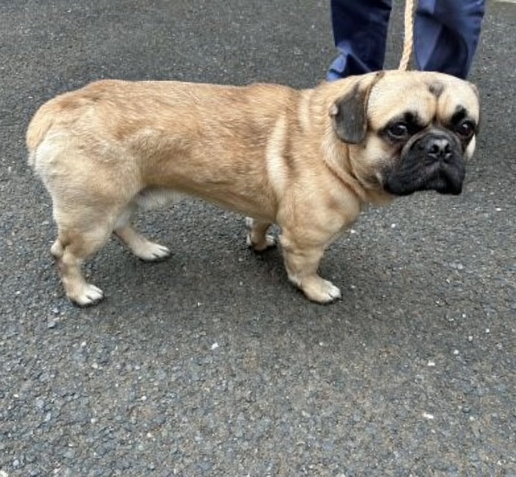 ヘタレ福祉職員@痛恨のヤメルヤメル詐欺 tweet media