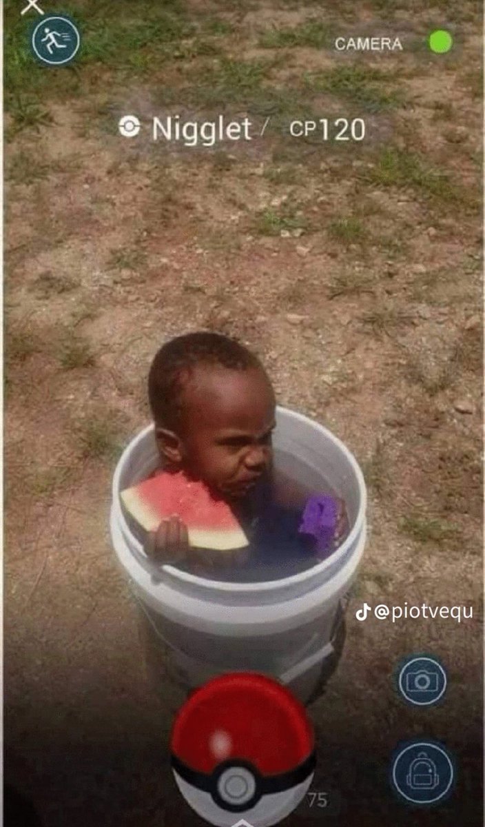 Kumashun🇯🇵🐻💎 tweet media