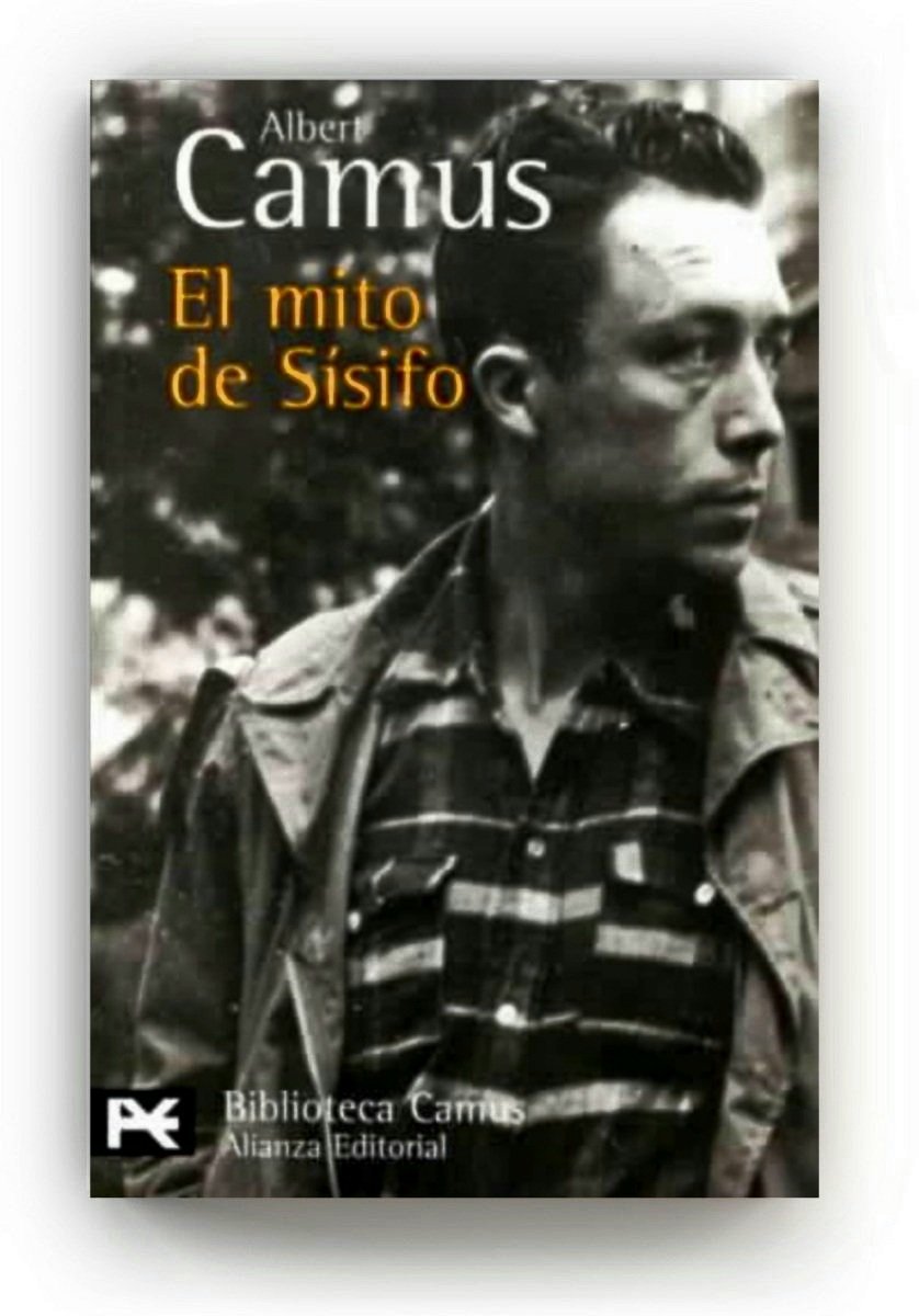 Elaveerrante tweet media