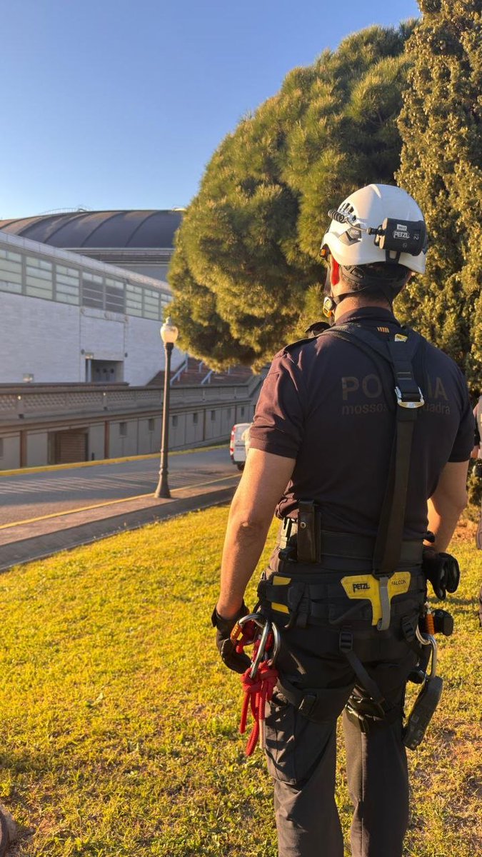Mossos tweet media