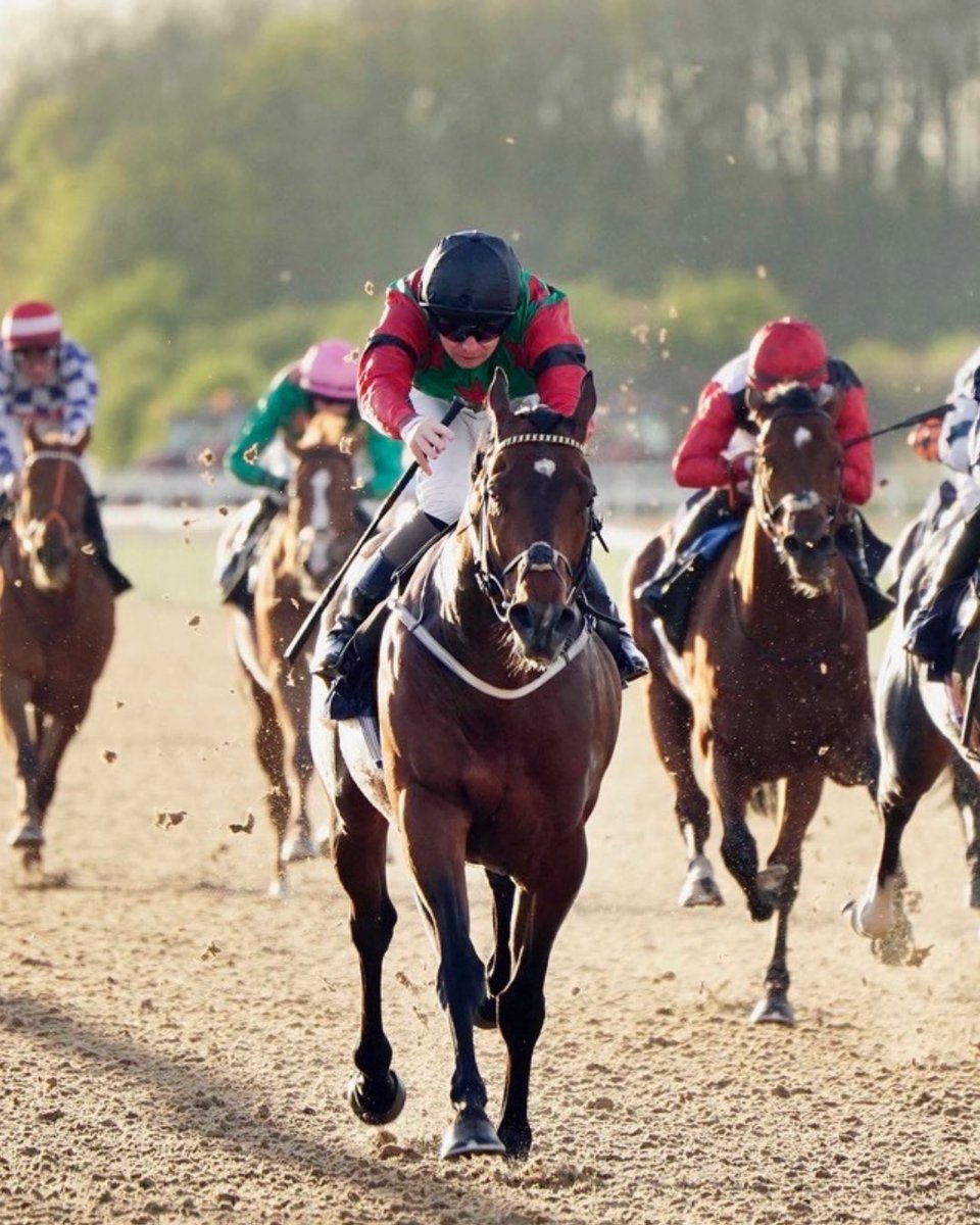 Edward Bethell Racing tweet media