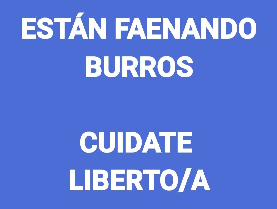 Mandrilo tweet media