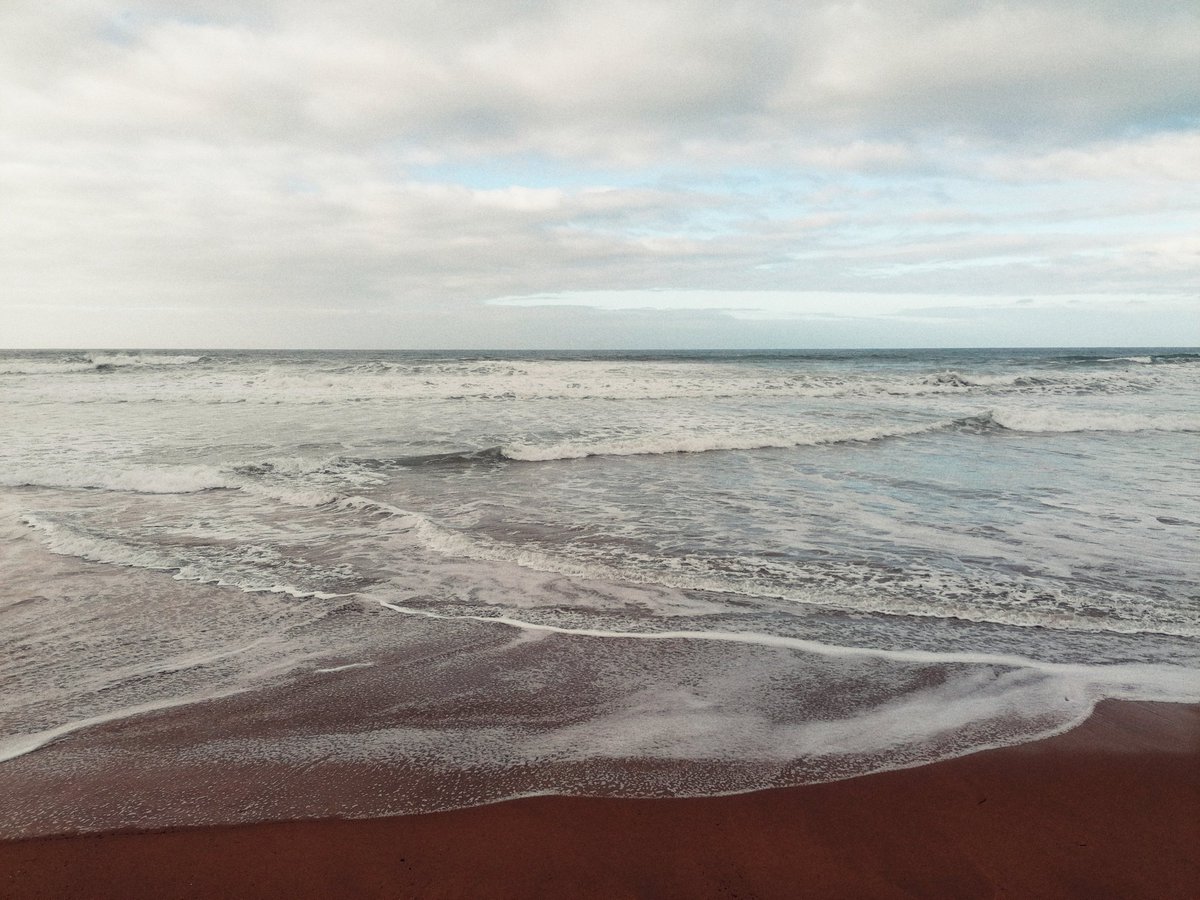 xuxurlatuaz tweet media