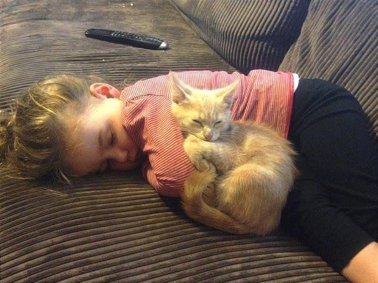 Griffin. tweet media