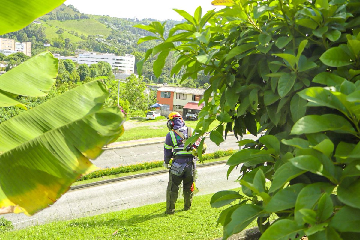 EMAS Manizales by Veolia tweet media