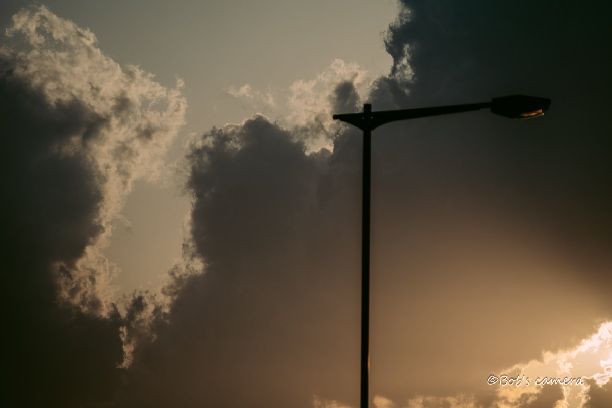 よボブ tweet media