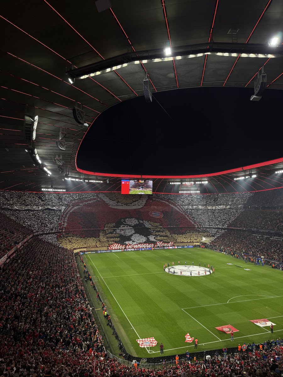 Bayern & Germany tweet media